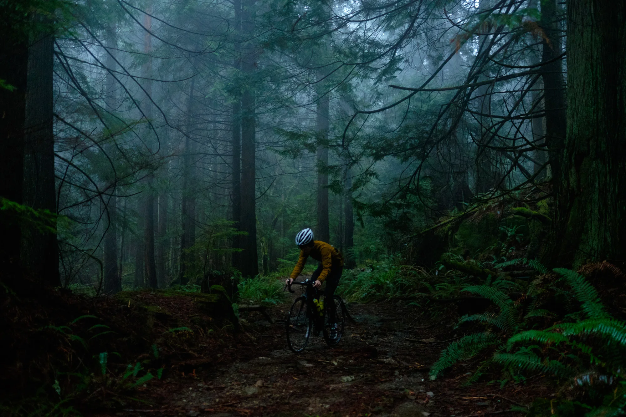 20141224-StefanF-Festive500BowenIsland-_FXT4398.jpg