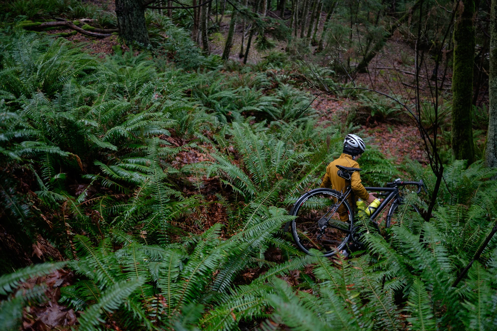 20141224-StefanF-Festive500BowenIsland-_FXT4474.jpg