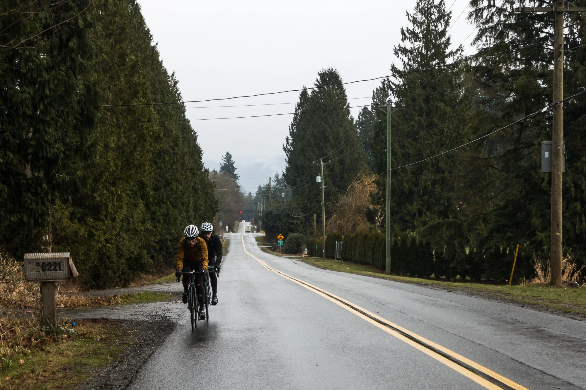 20141226-StefanF-Festive500FraserValley-_DSC7233.jpg