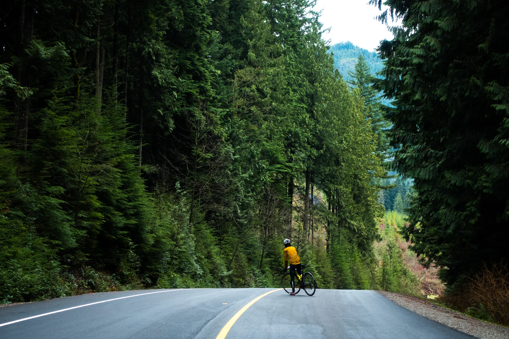 20141226-StefanF-Festive500FraserValley-_DSC7183.jpg