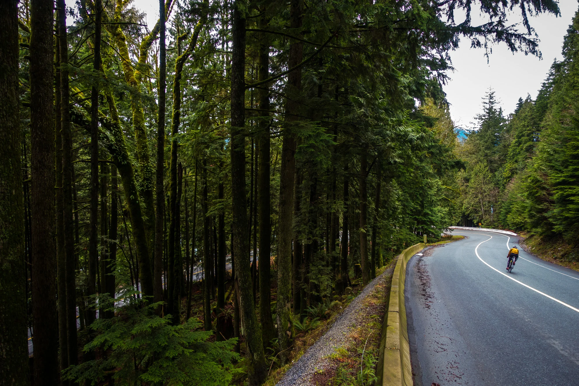 20141226-StefanF-Festive500FraserValley-_DSC7140.jpg