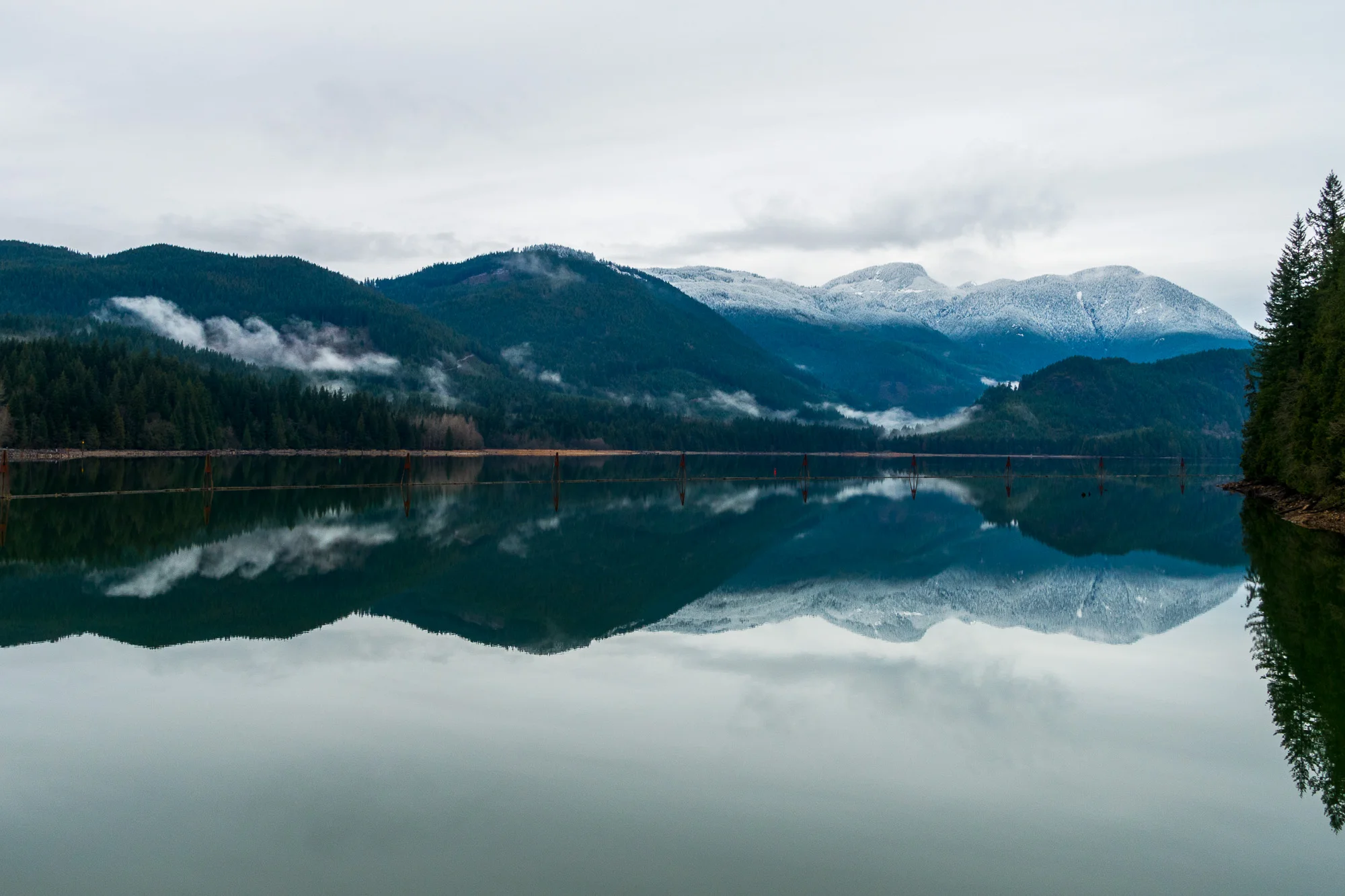 20141226-StefanF-Festive500FraserValley-_DSC7082.jpg