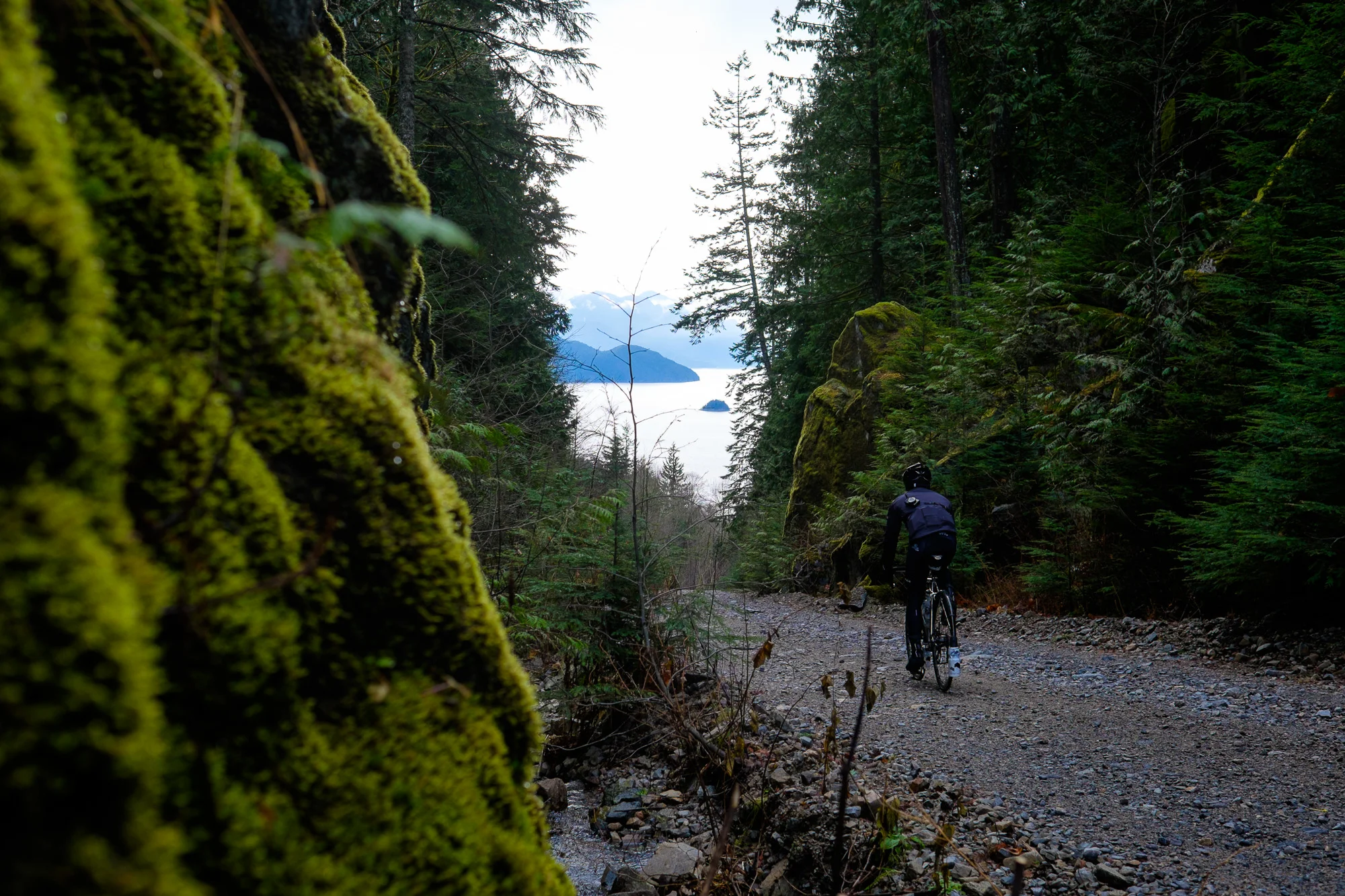 20141228-StefanF-Festive500SeaToSkyToForest-_FXT7381.jpg