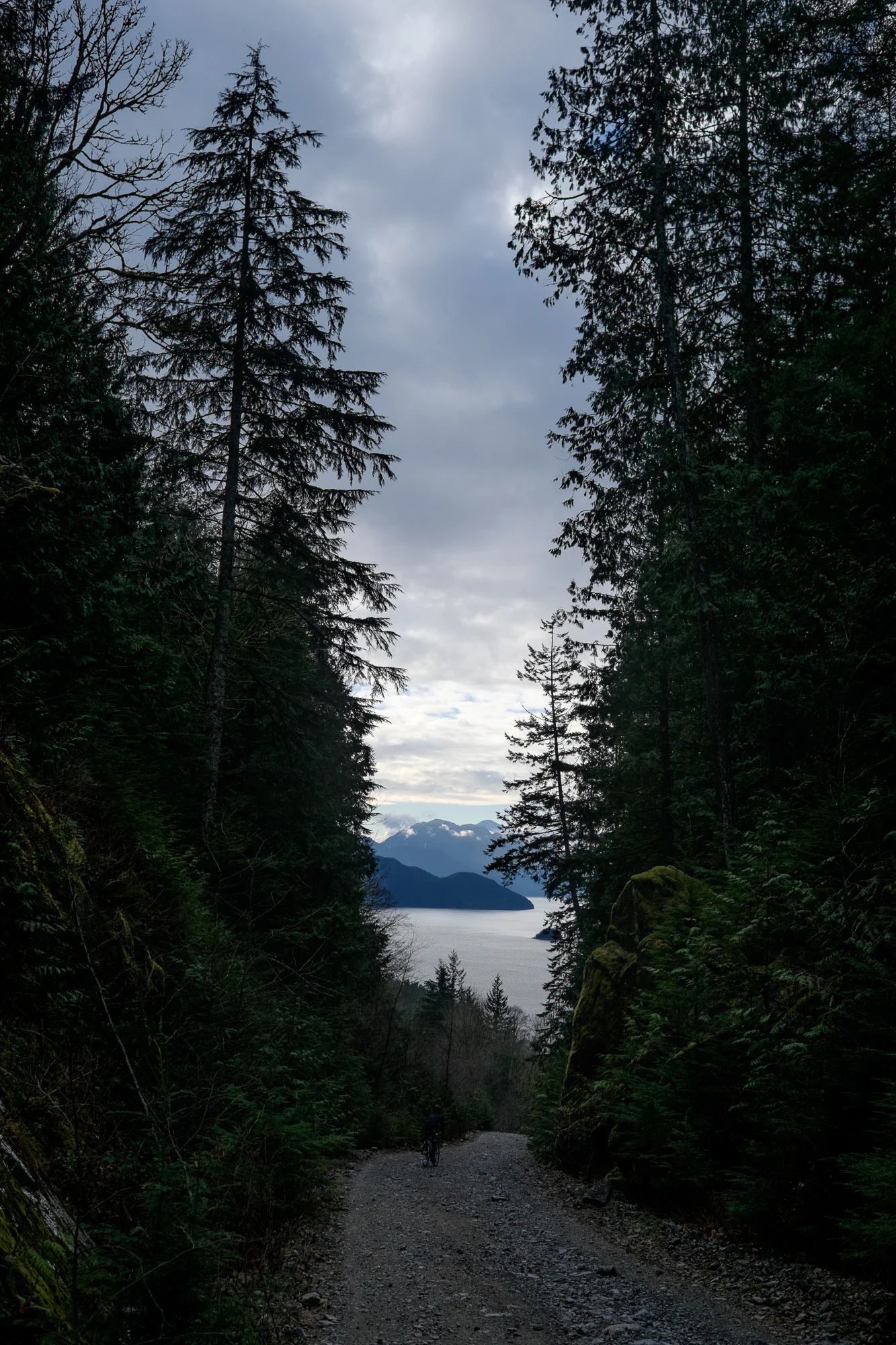 20141228-StefanF-Festive500SeaToSkyToForest-_FXT7404.jpg