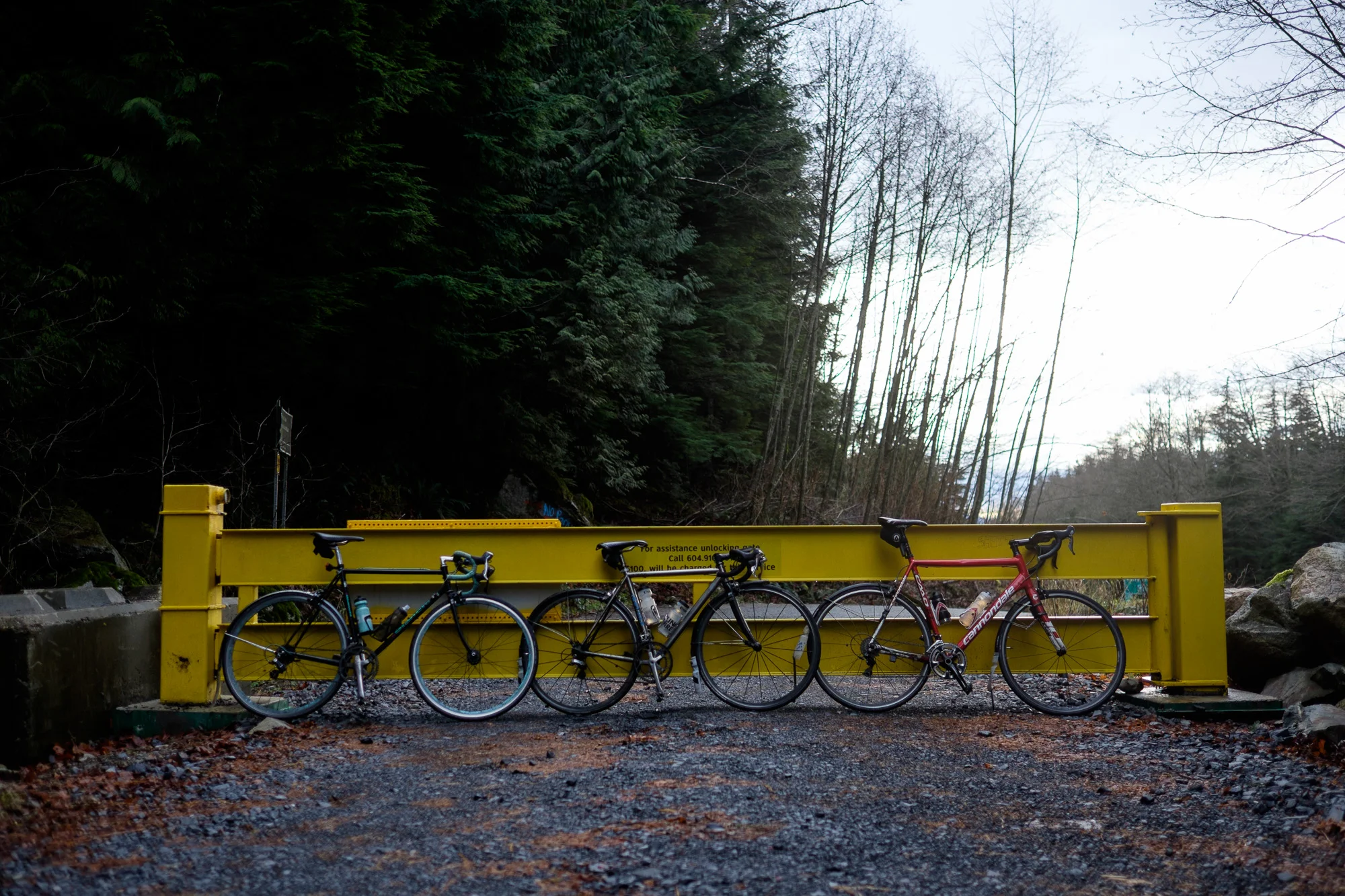 20141228-StefanF-Festive500SeaToSkyToForest-_FXT7424.jpg