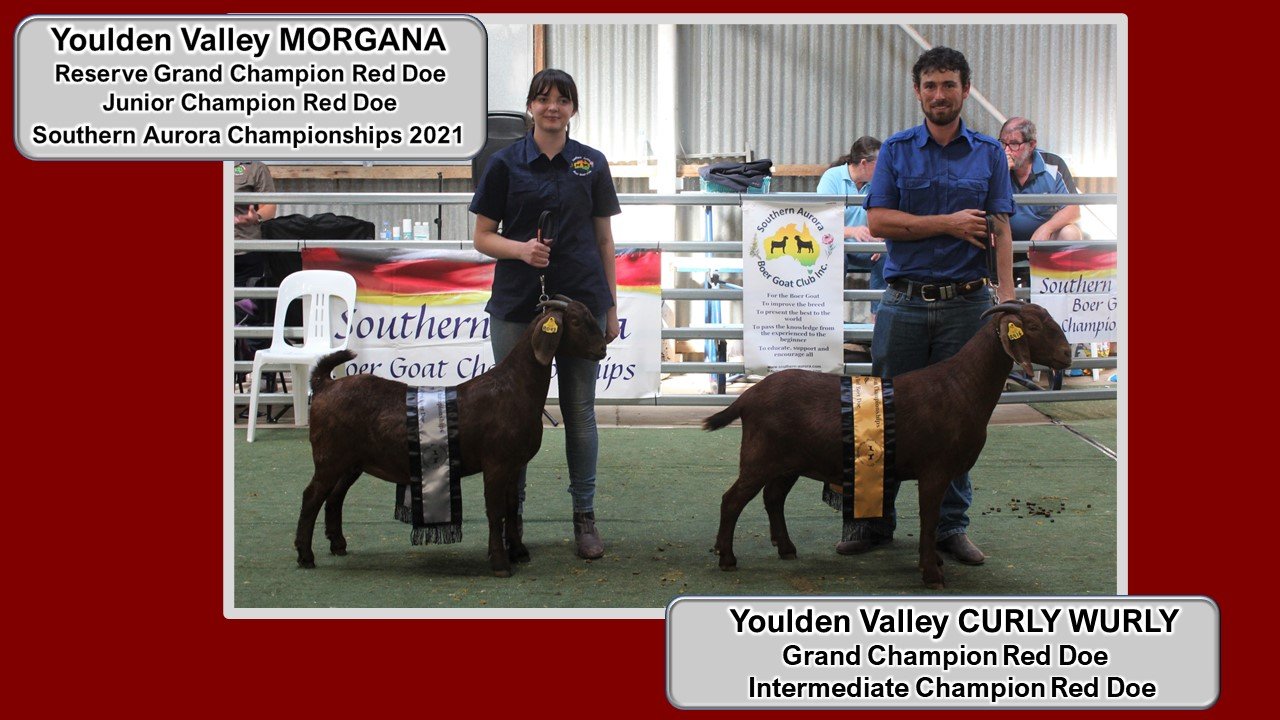 Show results 2021 red champs morgana.jpg