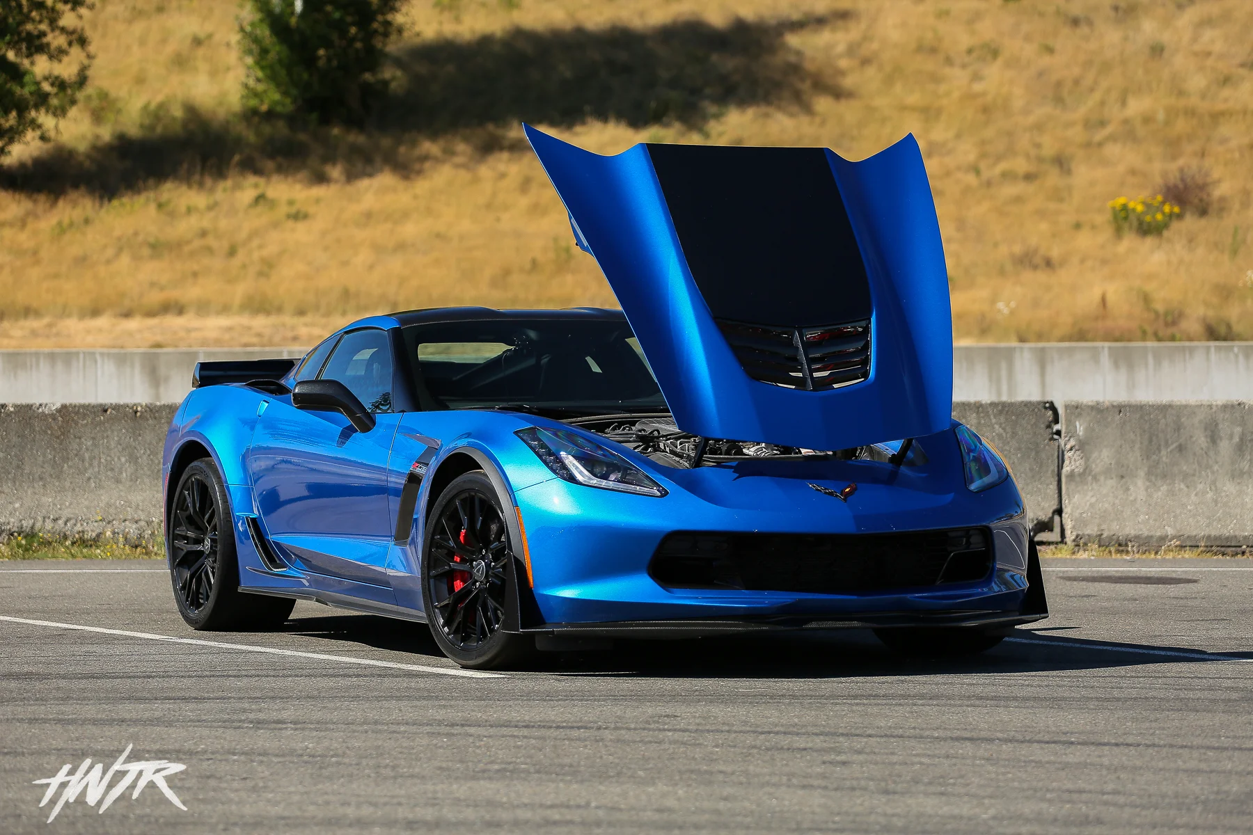 4U2A9817.jpg