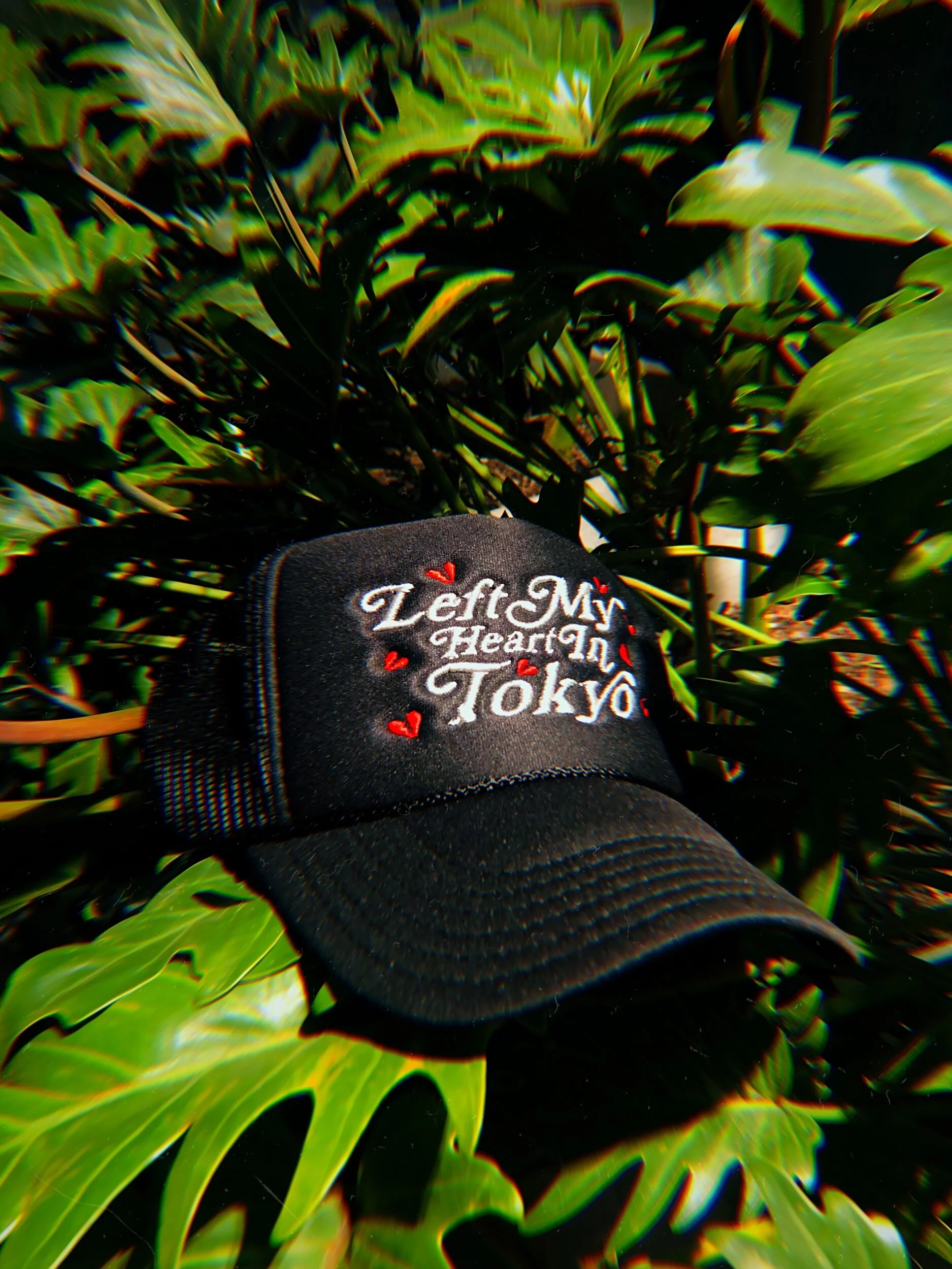 6783327A-340B-4828-ACDE-D75C1118D421