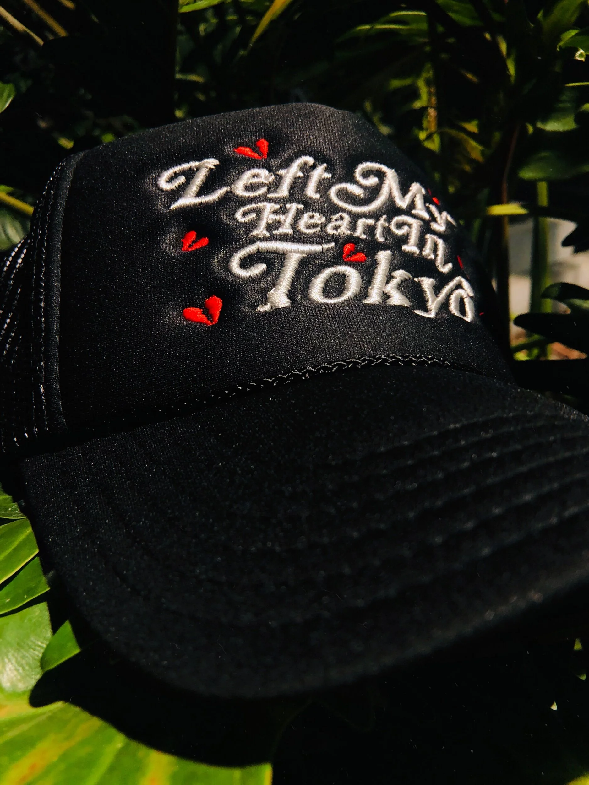 32454100-82EE-4CDF-99F6-C869668B25B3