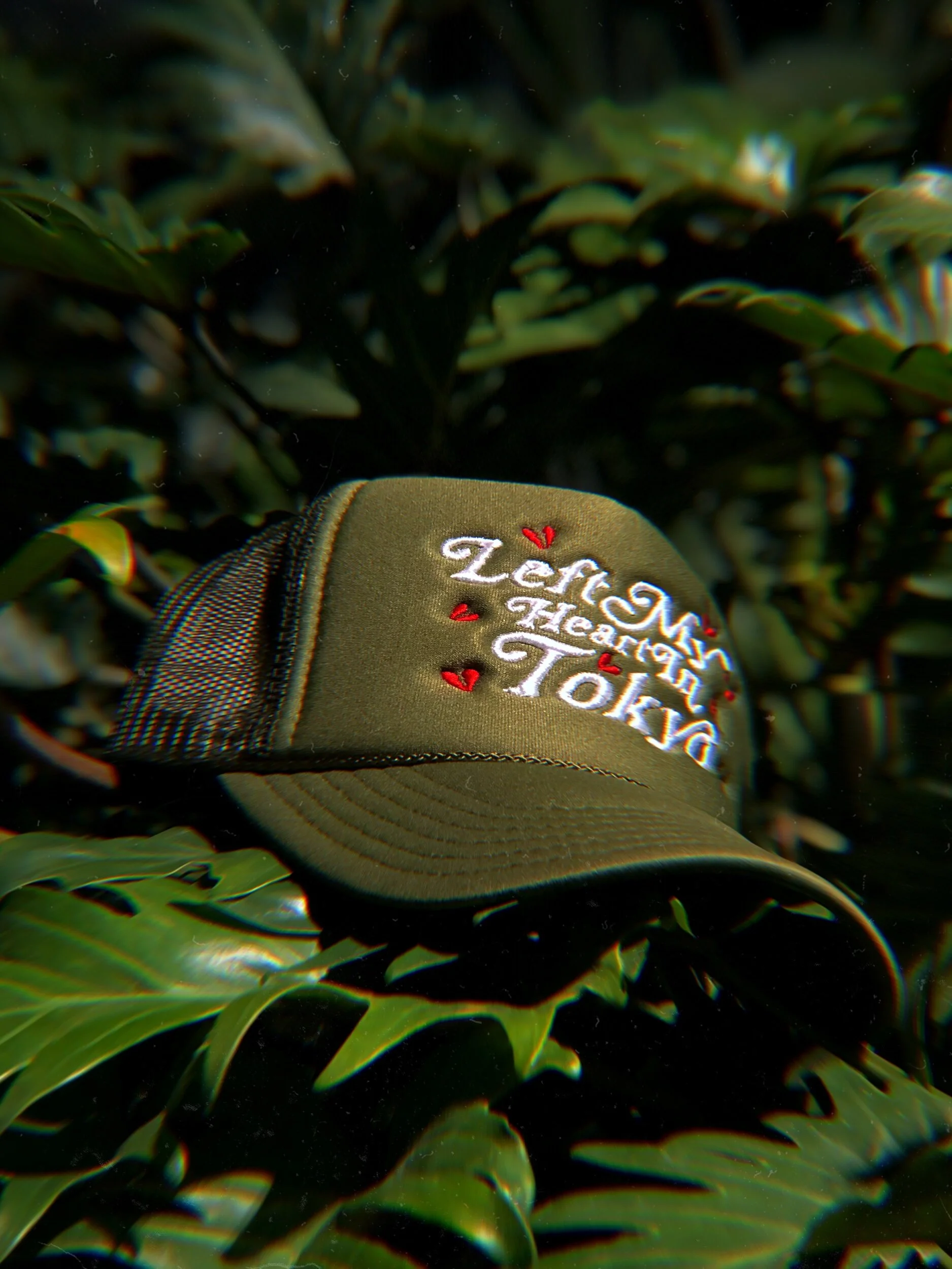 78139D46-DC4F-4024-9691-F46E80853680