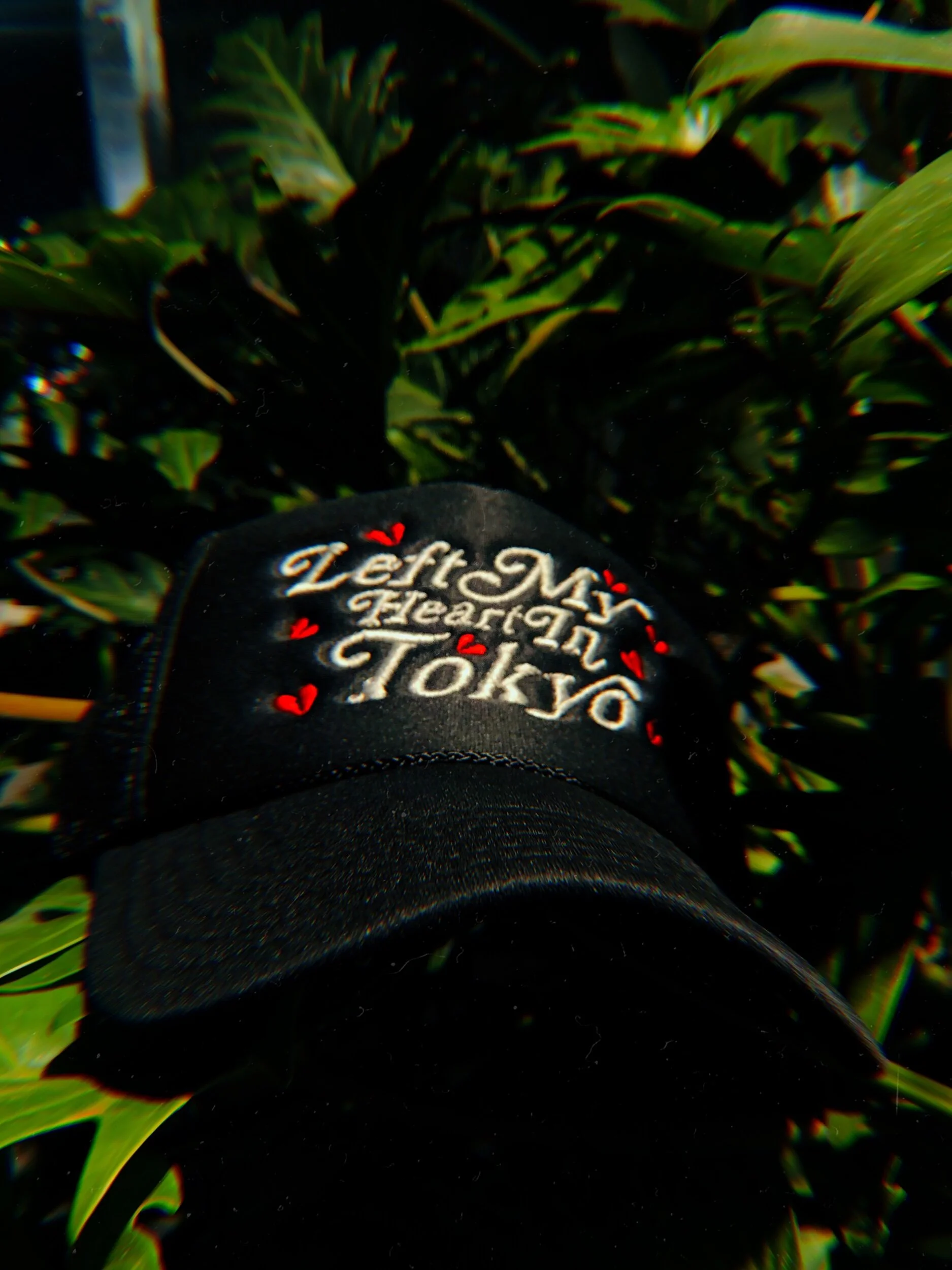 0970F7C3-0BAD-489C-87F4-C98F8F04190B