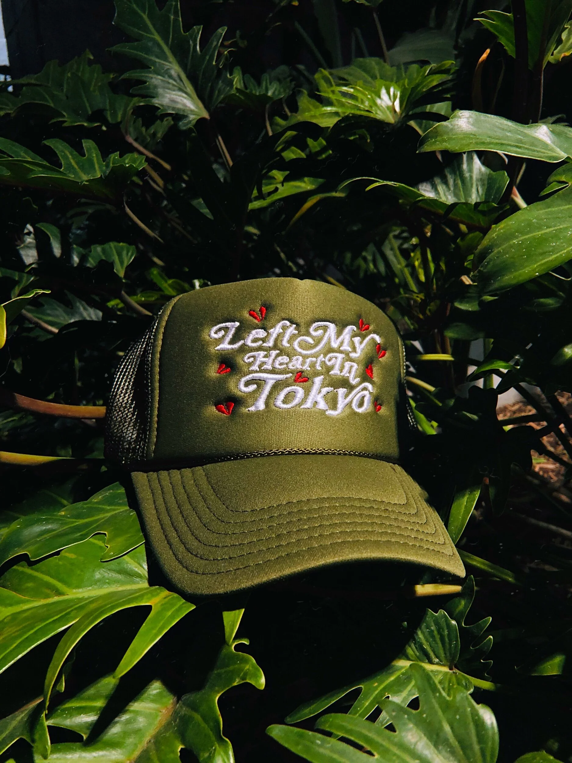 323DF371-59CF-412D-8CB9-D209976ACCEB