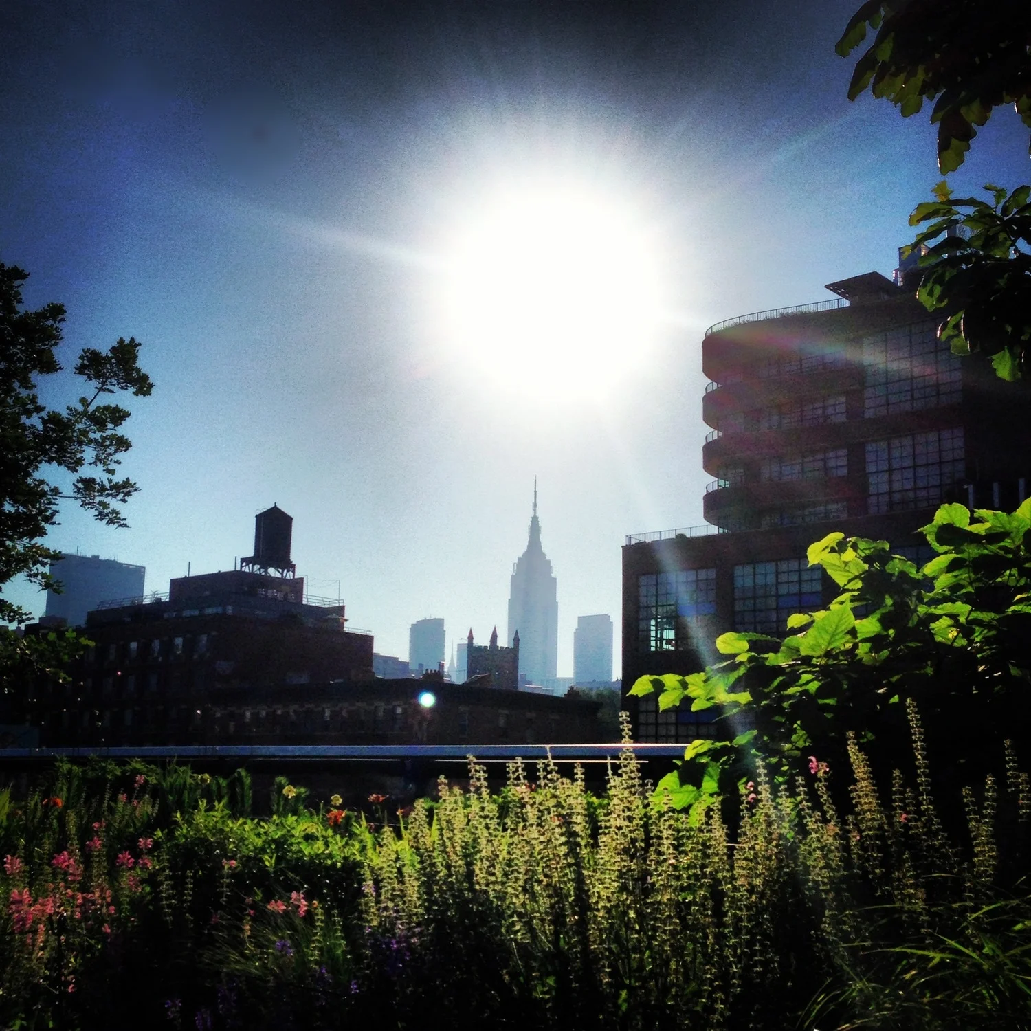 nyc skyline.jpg