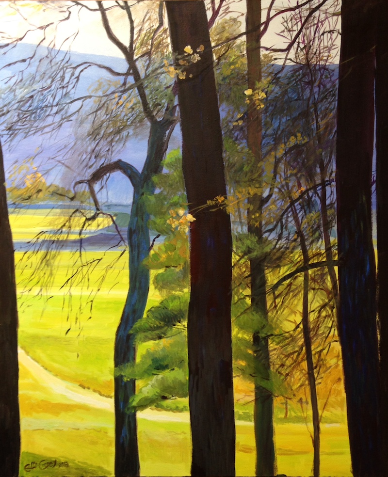 View to the valley with black trees.JPG
