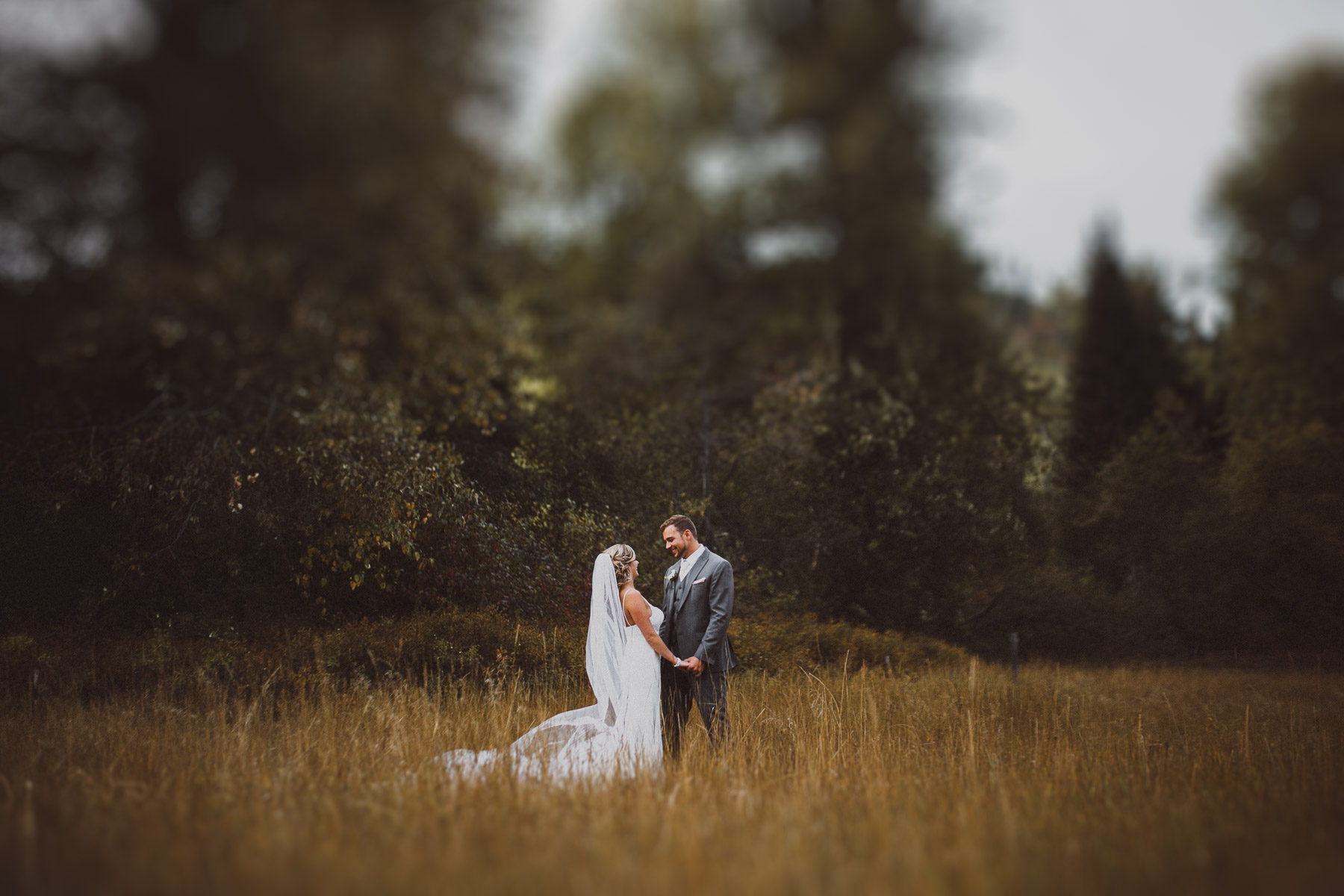 IMG_6781-Edit.jpg