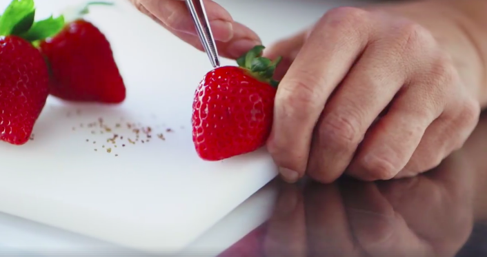 Screen Shot 2017-08-17 at 5.11.25 pm.png