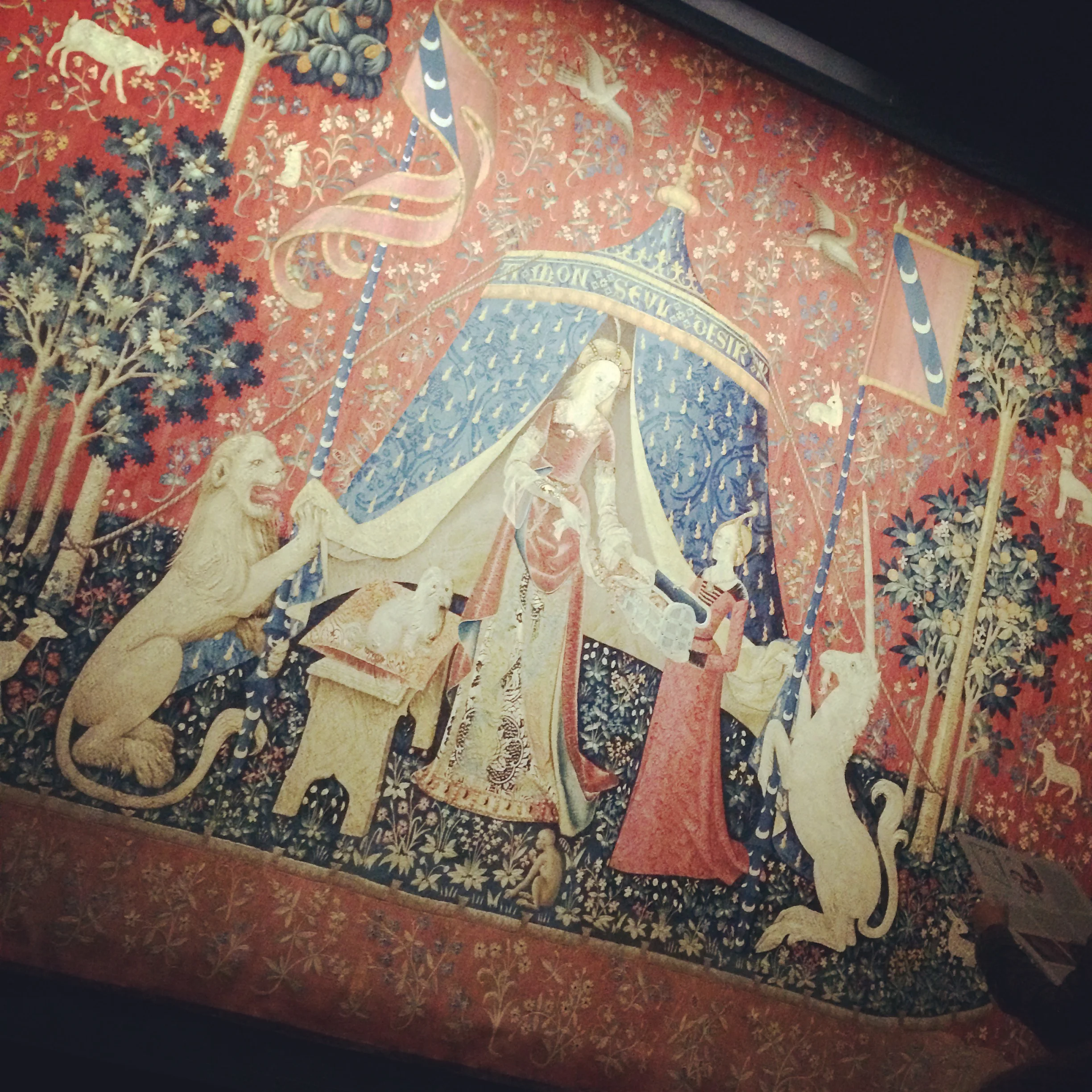 the lady, the unicorn, and the heart