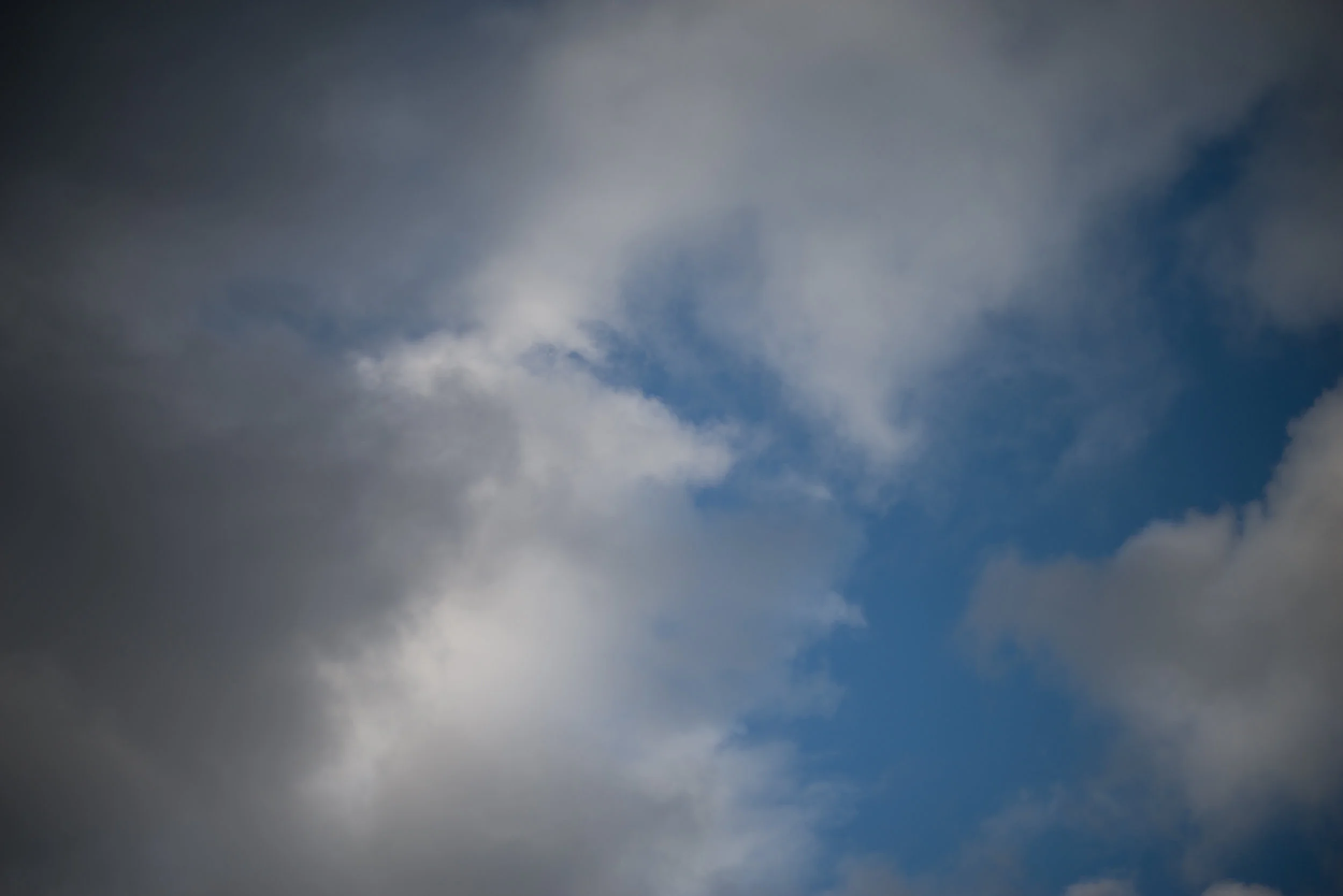 DSC_7563.jpg