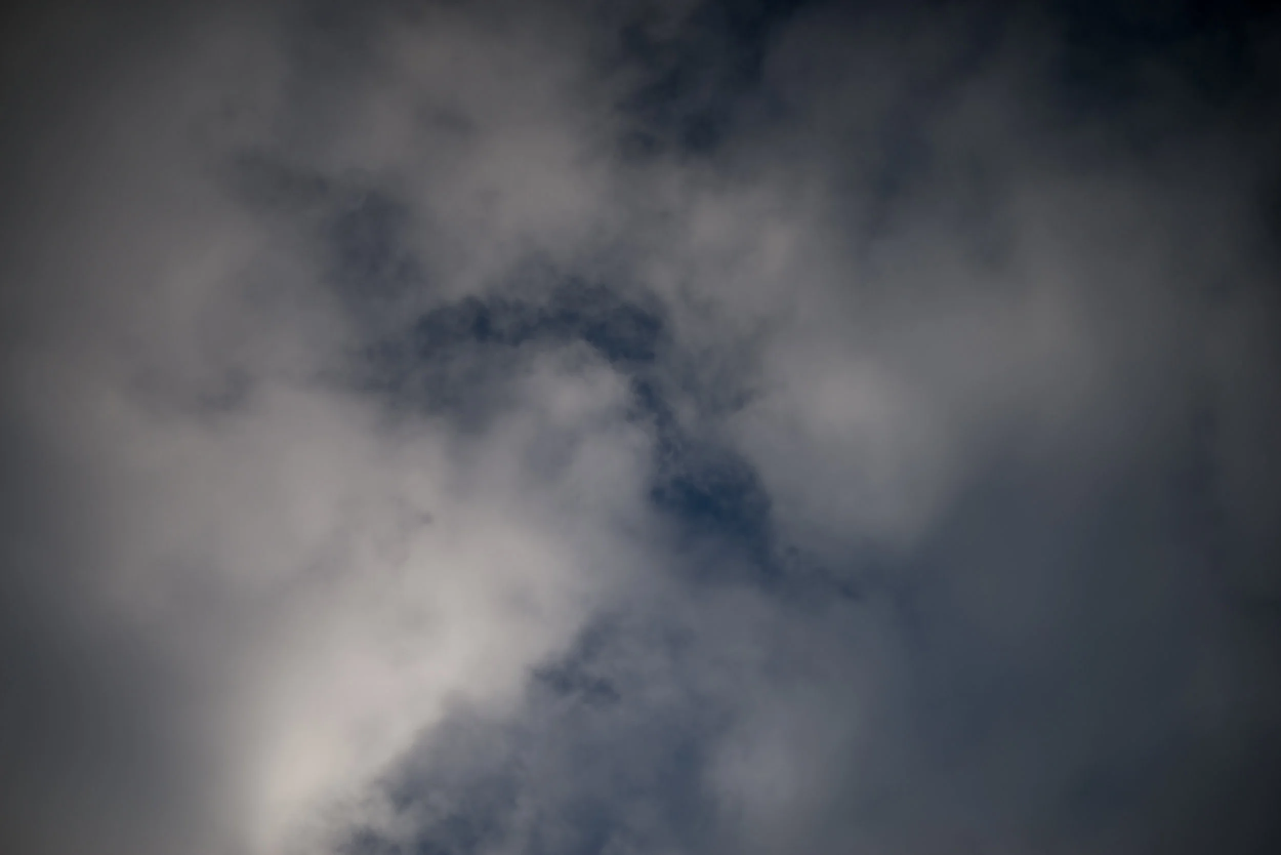DSC_7562.jpg