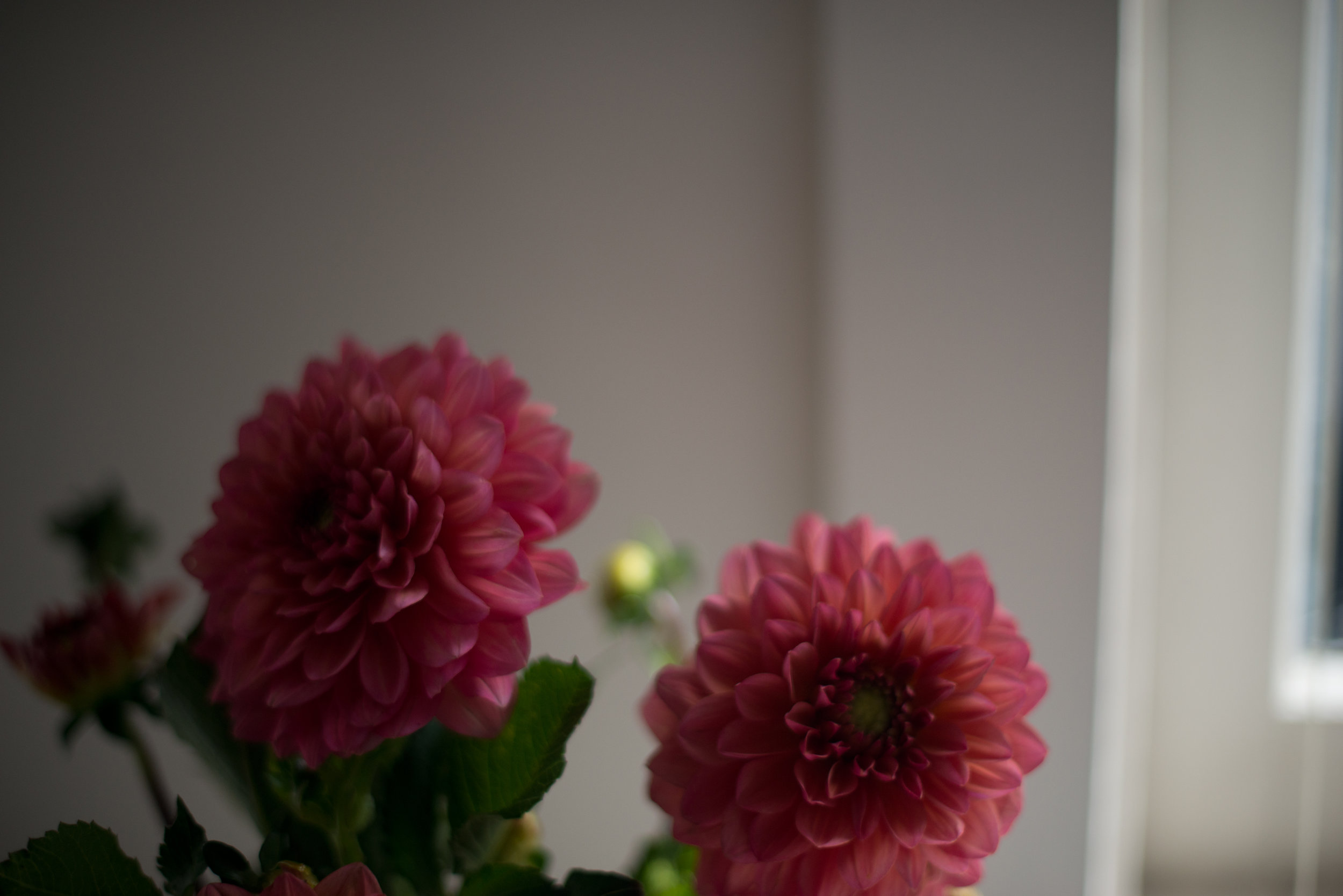 DSC_1964.jpg