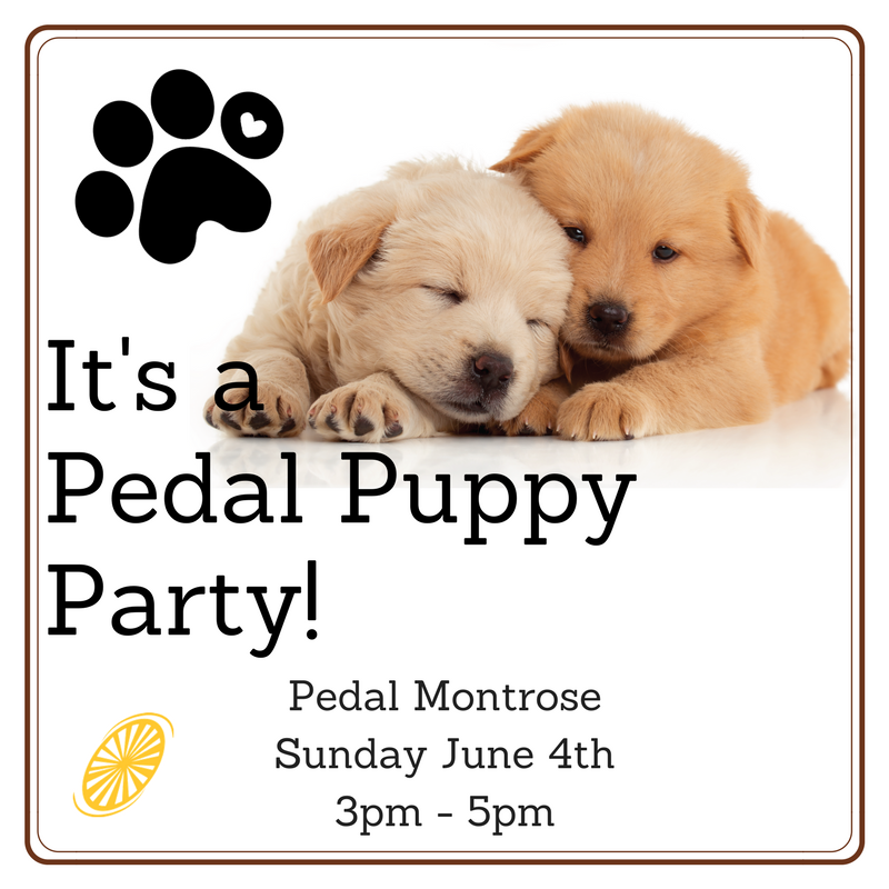 Pedal Puppy Party
