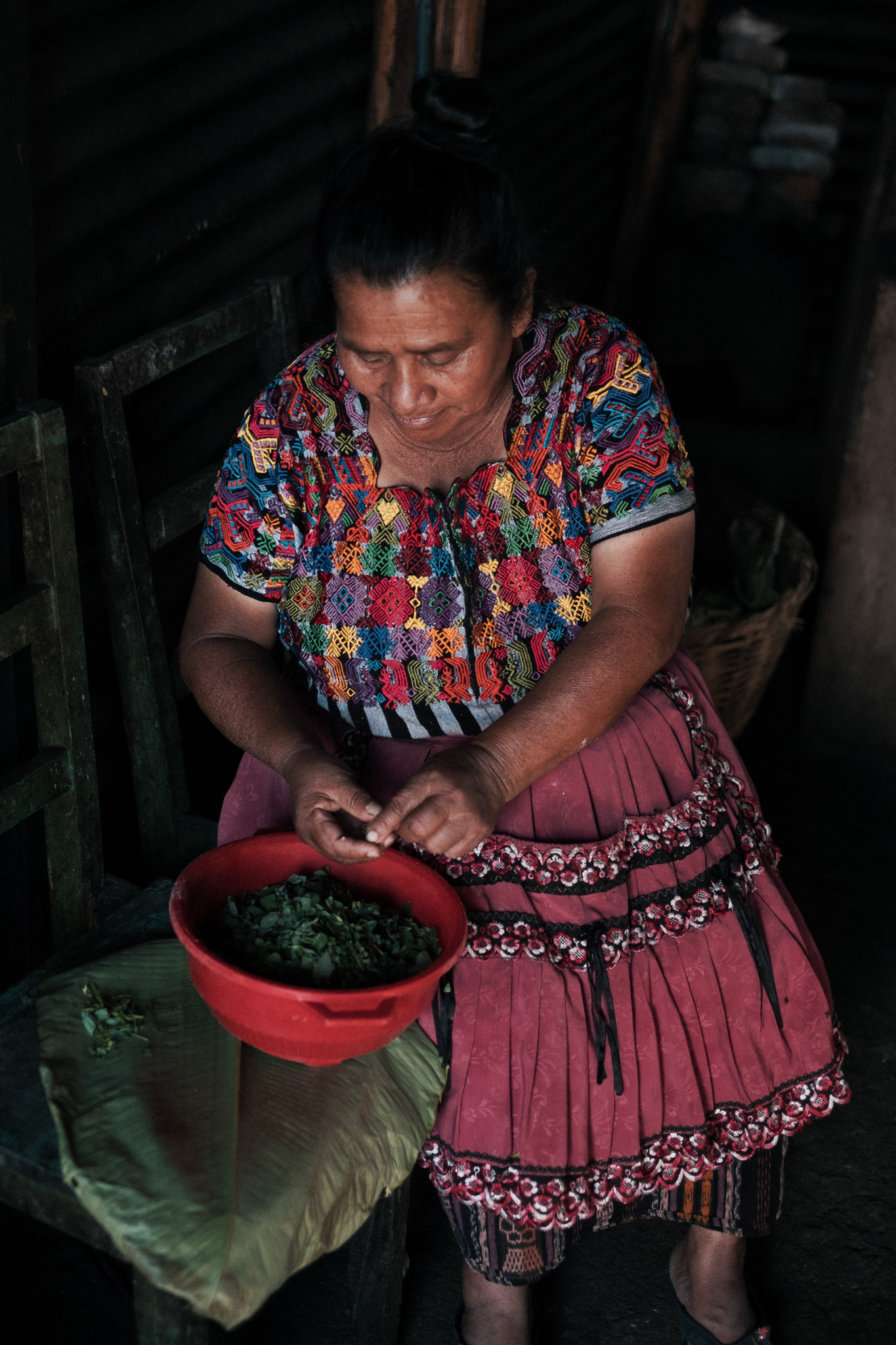  Doña Adela cleaning the chipilín for the tamalitos. 
