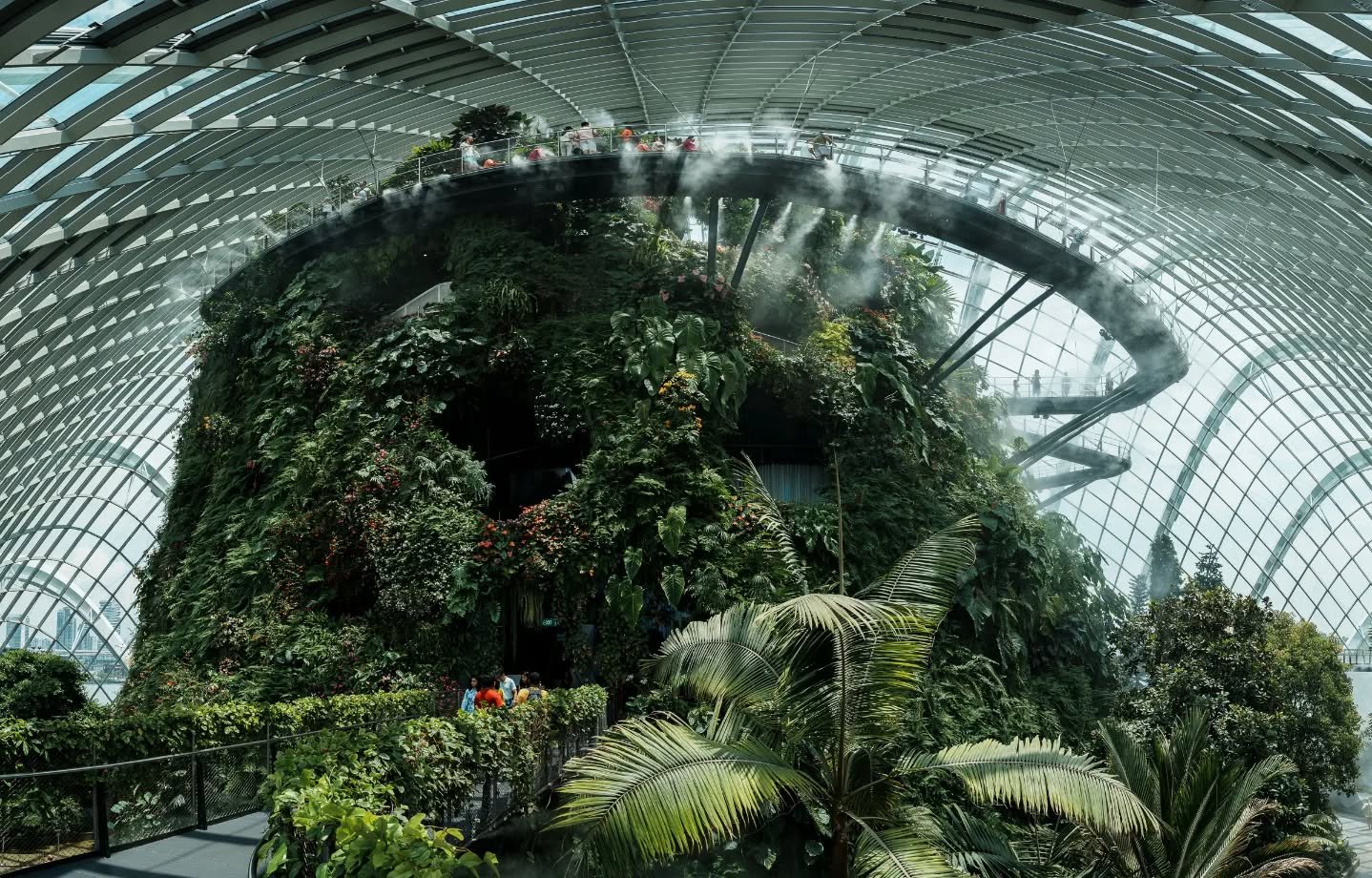 The awesome cloud forest botanical garden (4/5)
.
.
.
#cloudforest #singapore #botanicalgarden
