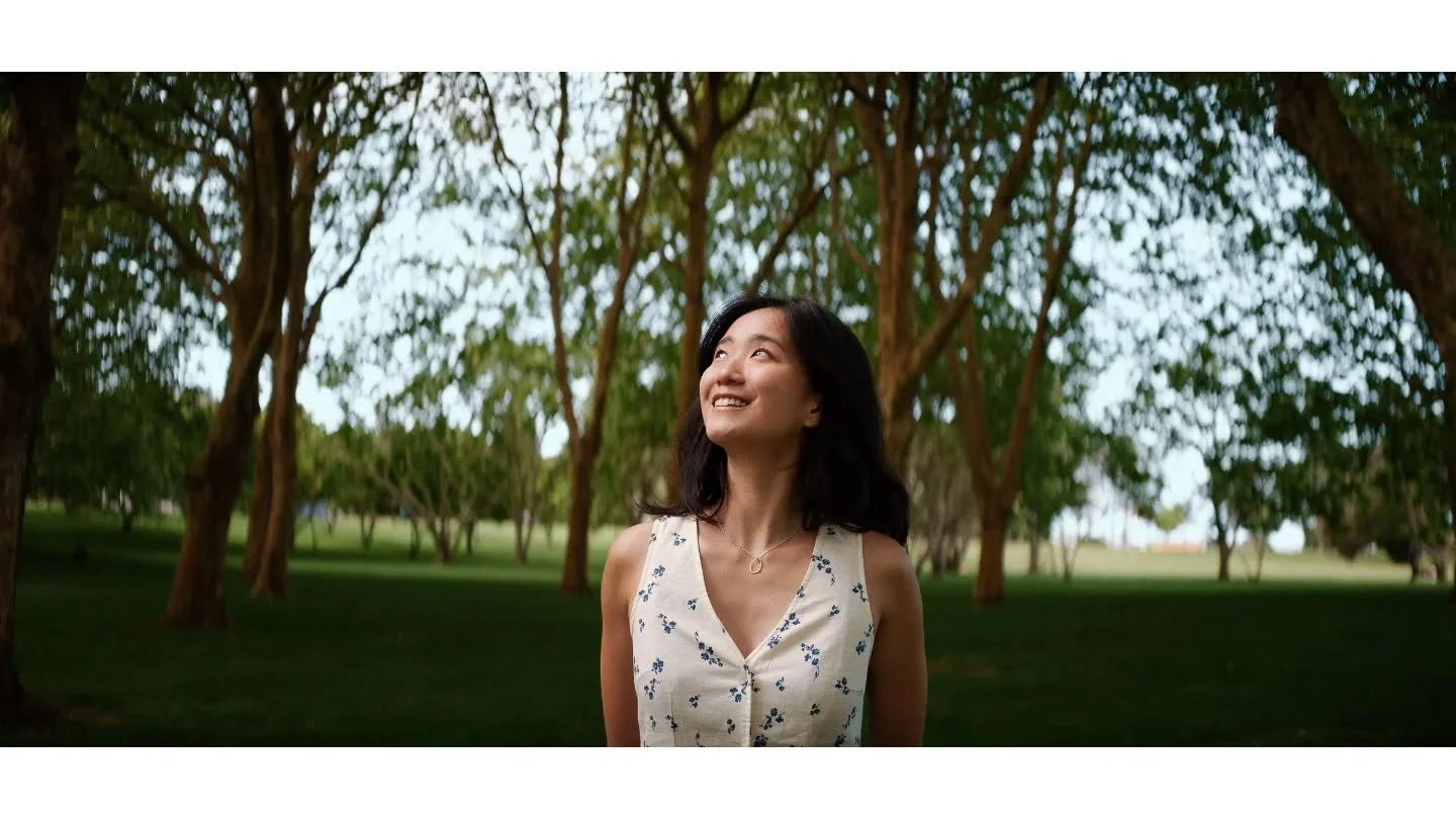 Spring at Cornwall park. Warmer weather and longer days.