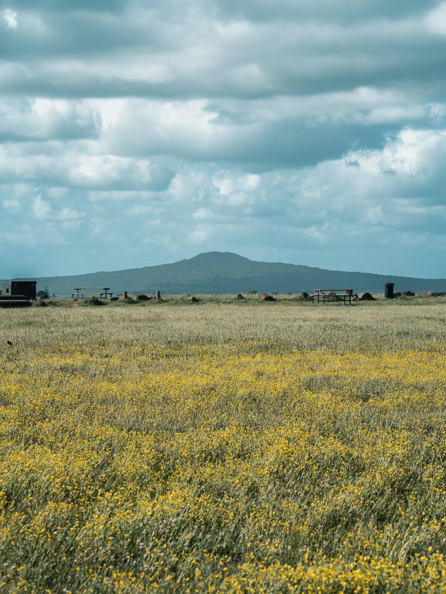 Rangitoto from Mt Wellington