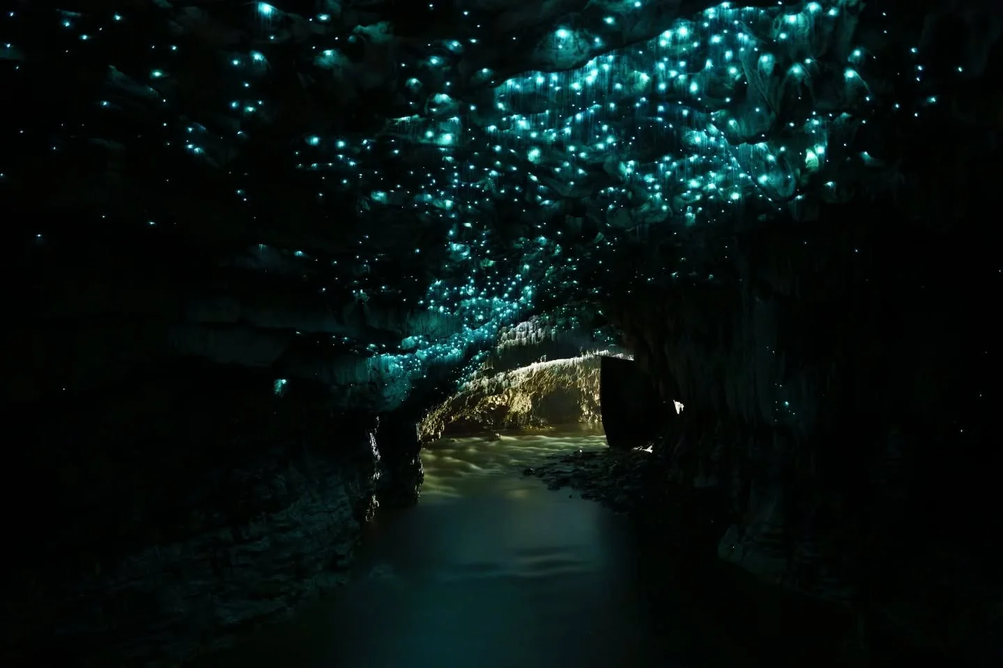 Spellbound glowworm caves lets you take photos but I wish I had more time to work on composition and get the tripod better situated. Still I reckon the photos are still worth looking at.