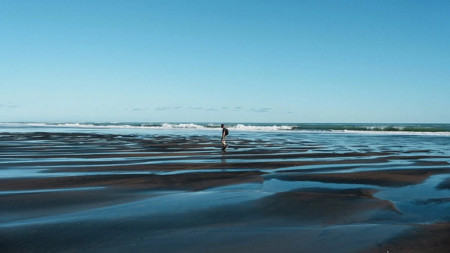 Waitākere trek with Mike and alien landscapes.

#waitakere #newzeland #auckland #beach