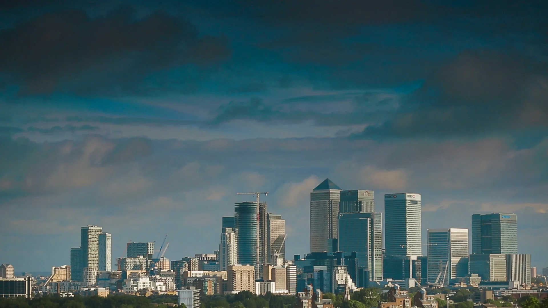 LWT - FROM THORN TO ORCHID