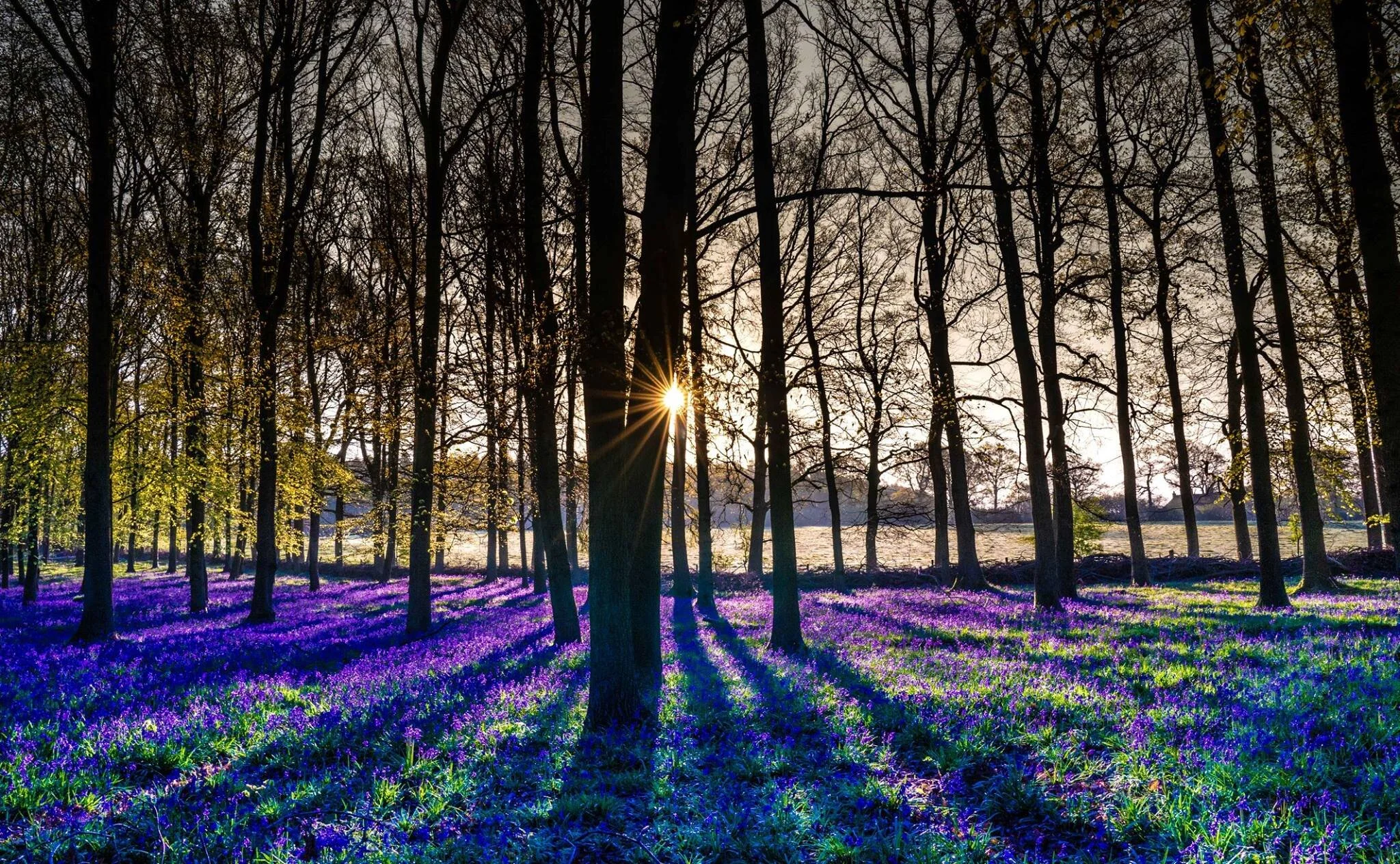 MAYBE DON'T GET YOUR HUSTLE ON RIGHT NOW