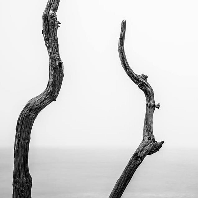 Erosion#5.  #coastalerosion #suffolk #longexposure #blackandwhitephotography #covehithe #environment #globalwarming #climatechange #health #beauty #travel #beach #landscape #photography #urban #landscape #urbanphotography #travelphotography #document