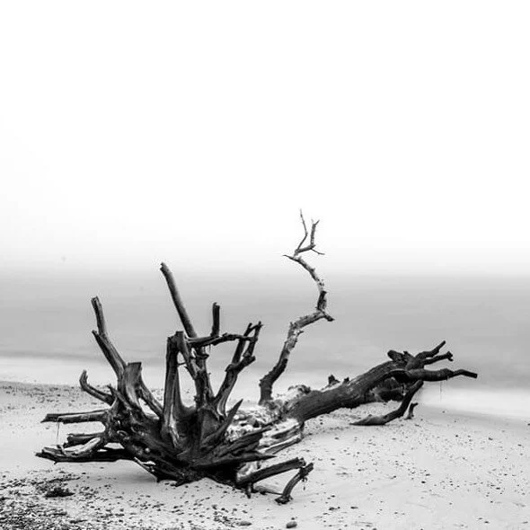 Erosion#4.  #coastalerosion #suffolk #longexposure #blackandwhitephotography #covehithe #environment #globalwarming #climatechange #health #beauty #travel #beach #landscape #photography #urban #landscape #urbanphotography #travelphotography #document