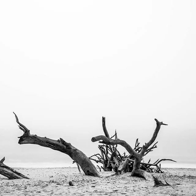 Erosion#3.  #coastalerosion #suffolk #longexposure #blackandwhitephotography #covehithe #environment #globalwarming #climatechange #health #beauty #travel #beach #landscape #photography #urban #landscape #urbanphotography #travelphotography #document