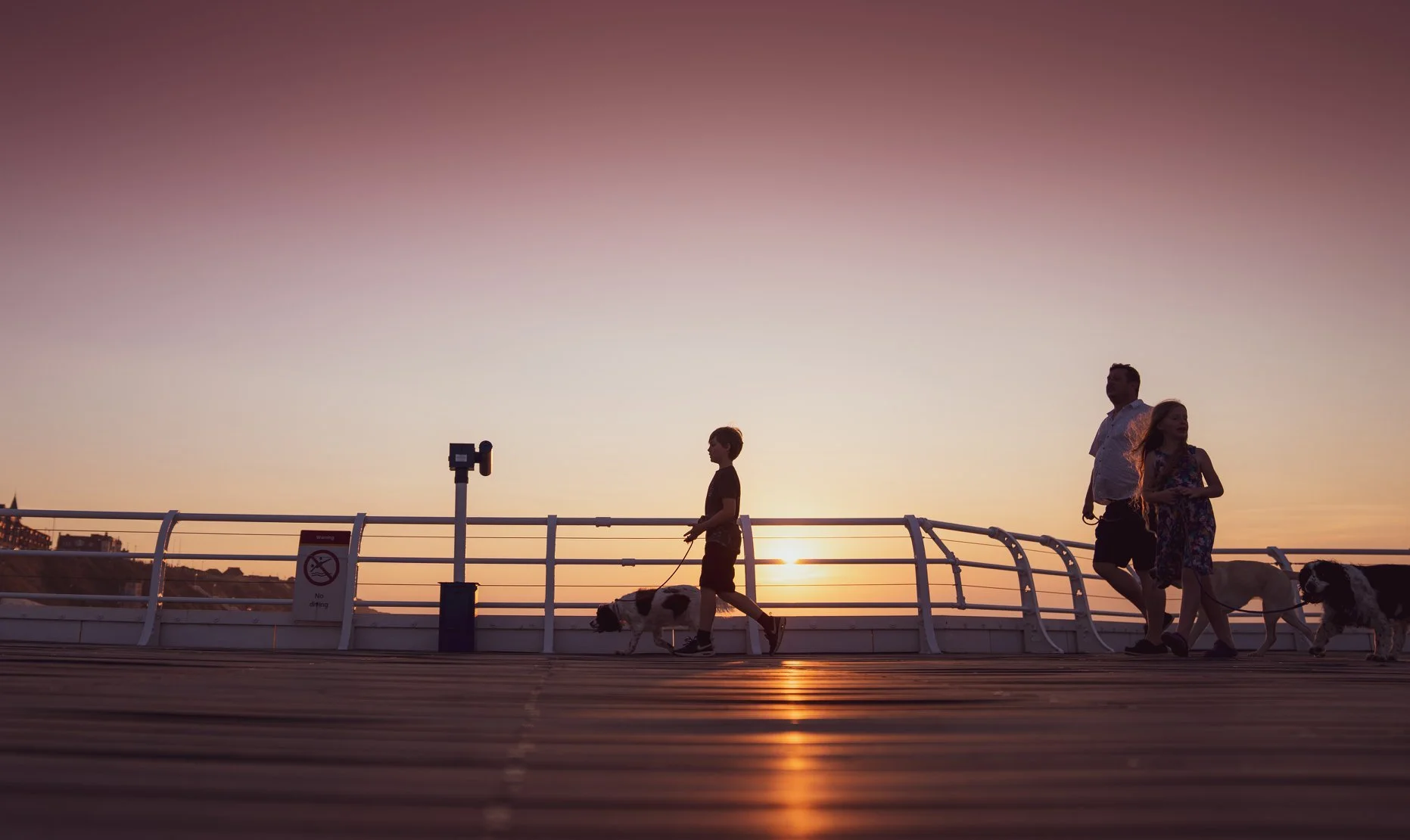 WE ARE NOT FUTURELESS