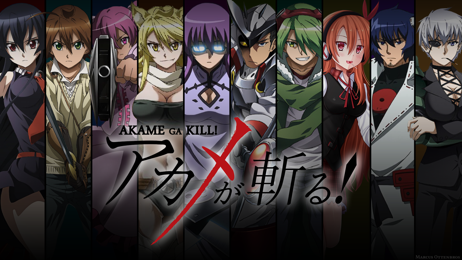 akame_ga_kill__by_marcus_sen-d8a239n.png