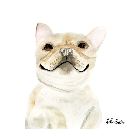 This smiling Frenchie HAS to make you smile, right?!