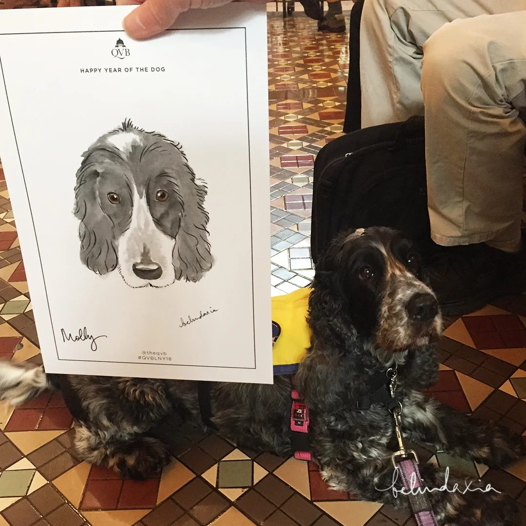 Beautiful Molly, the service dog. 