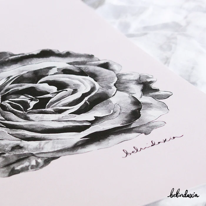 BlackRose_closeup2.jpg