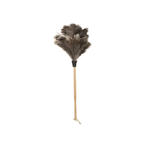 mdmfeatherduster.jpg
