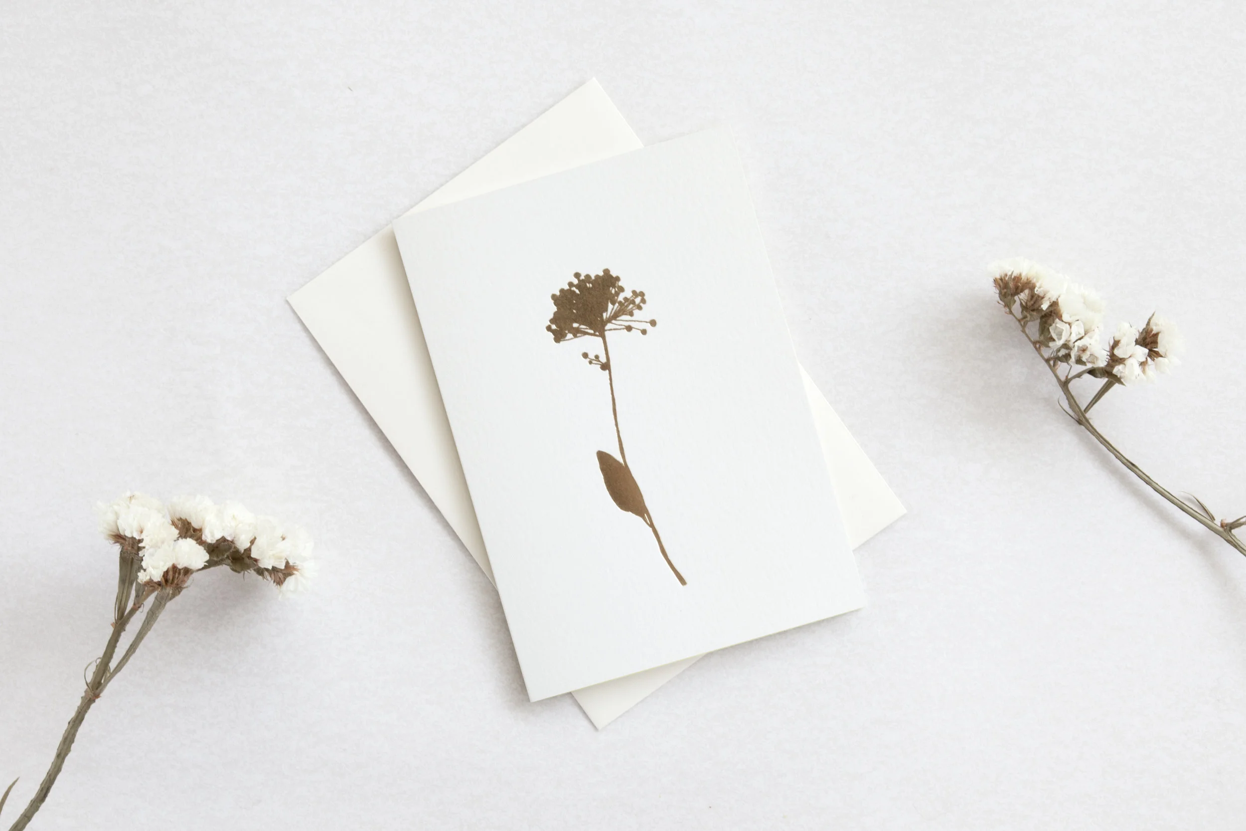 ALLIUM102 - Foil Blocked Card, Allium Print in Ivory and Brass, ola.jpg
