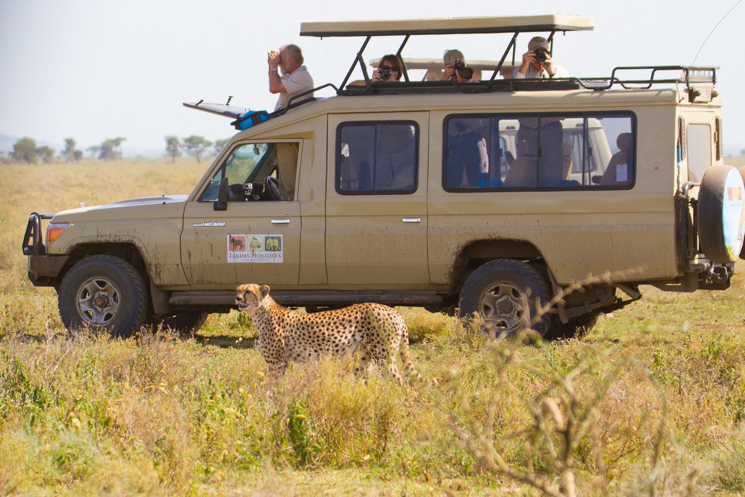 cruiser with cheetah.jpg