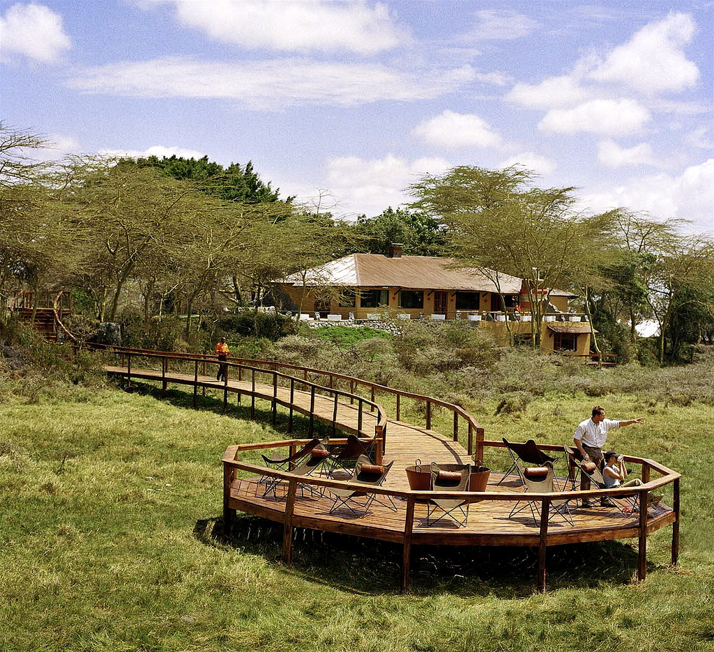 viewing platform.jpg