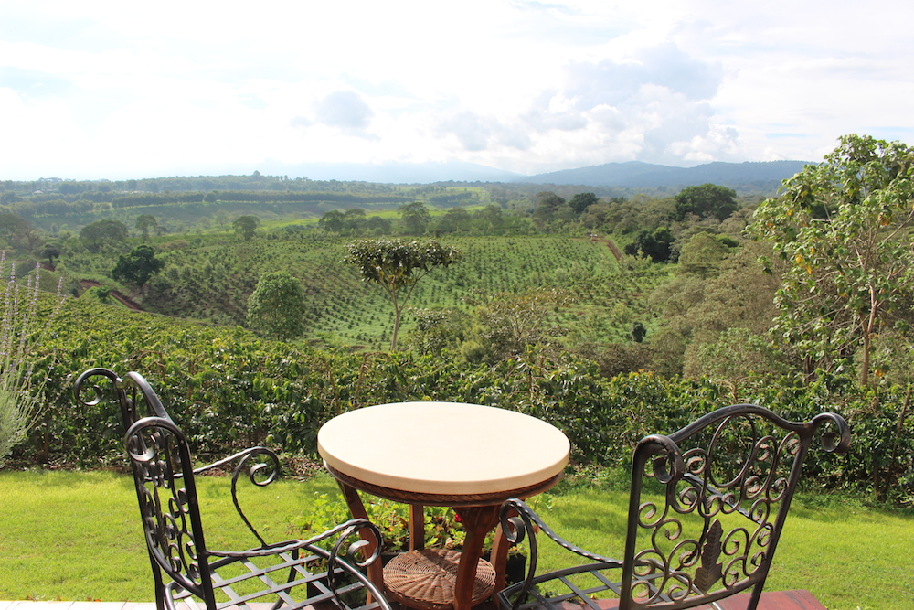 The_Manor_Landscape_Tanzania_Safari_Takims_Holidays