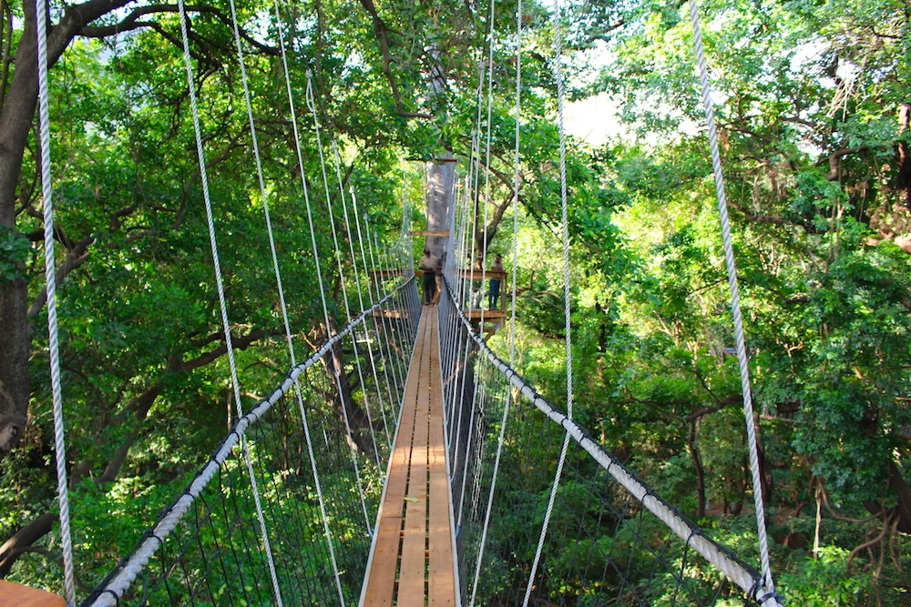 Tanzania's First Treetop Walkway