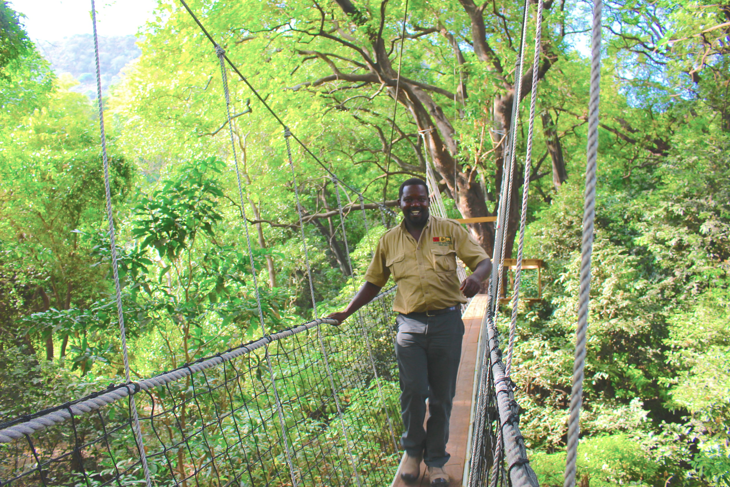 treetop_walkway_lake_manyara_takims_holidays_1