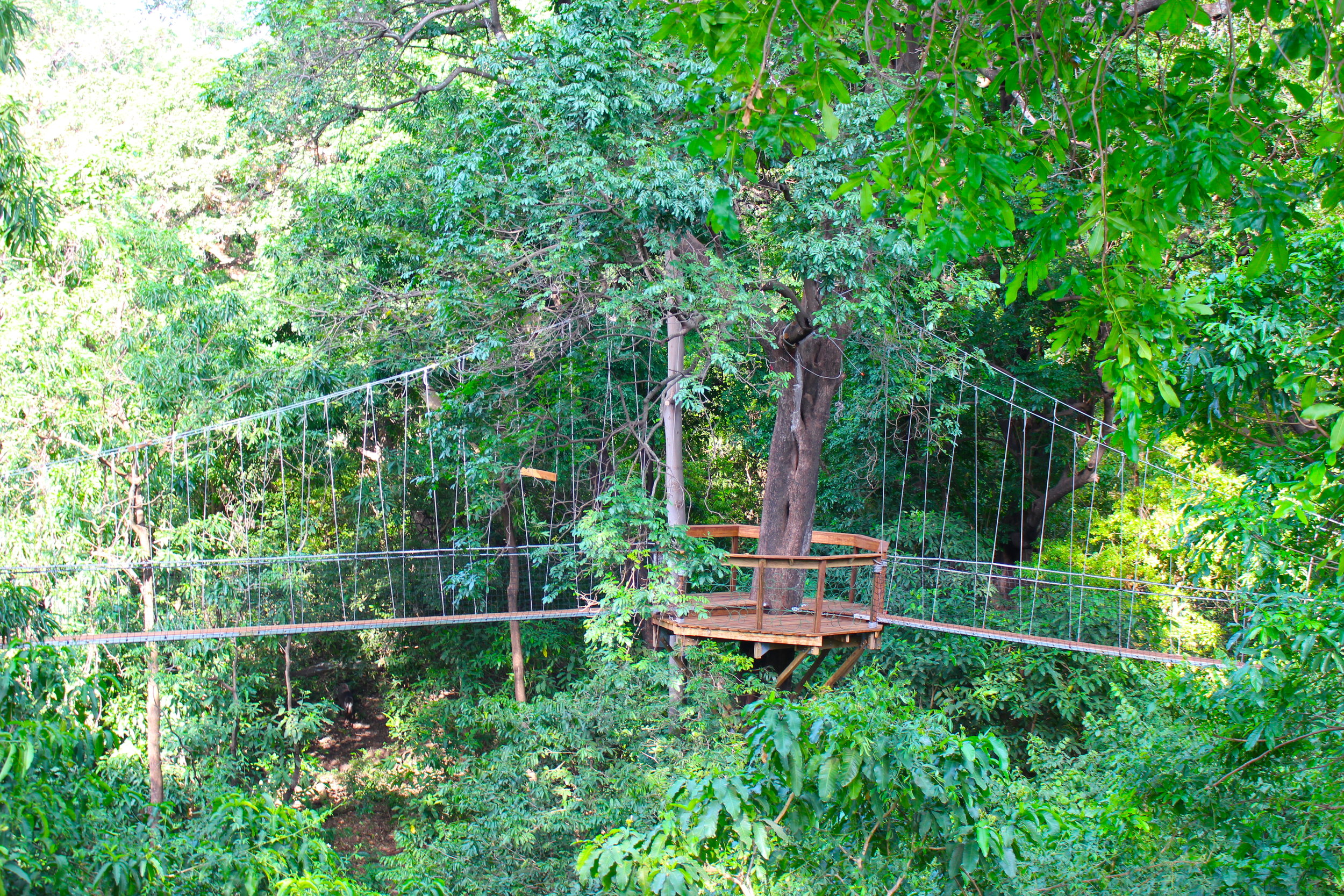 treetop_walkway_lake_manyara_takims_holidays_2