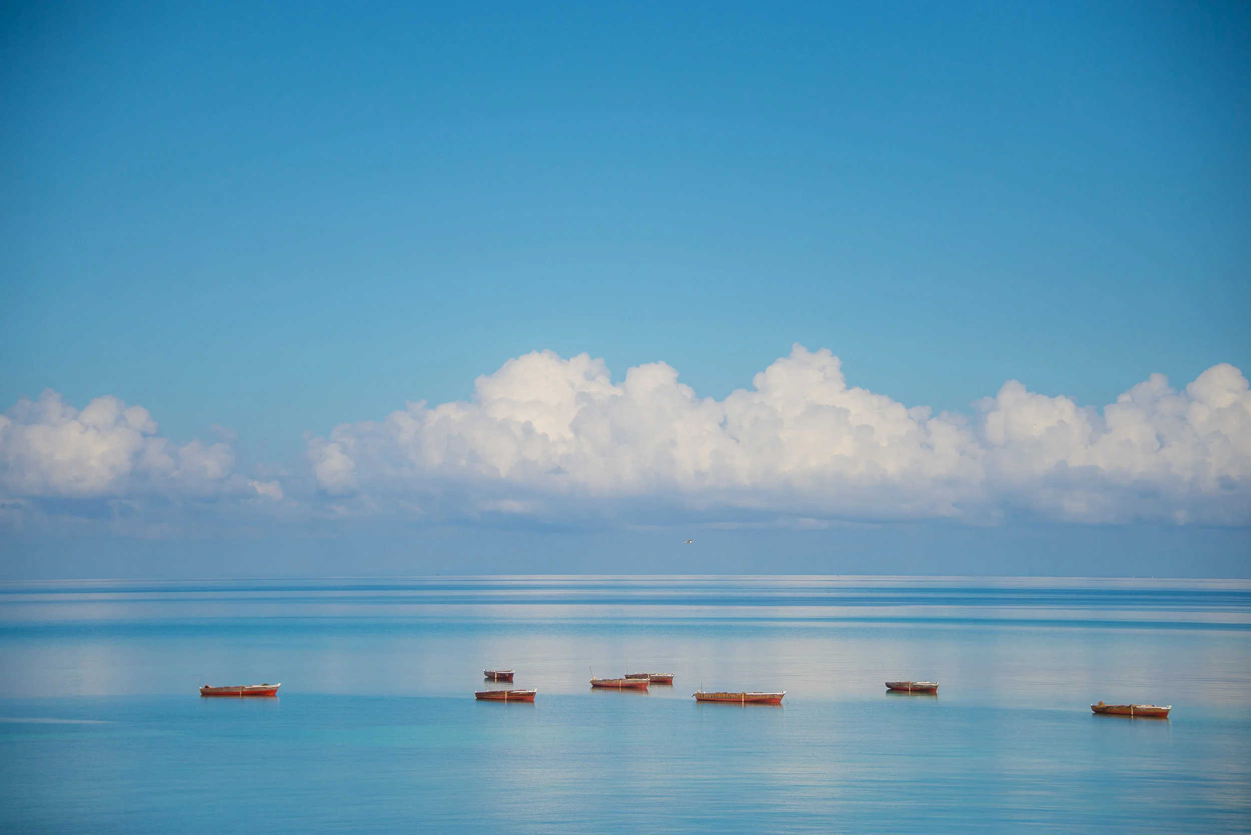 calm ocean.jpg